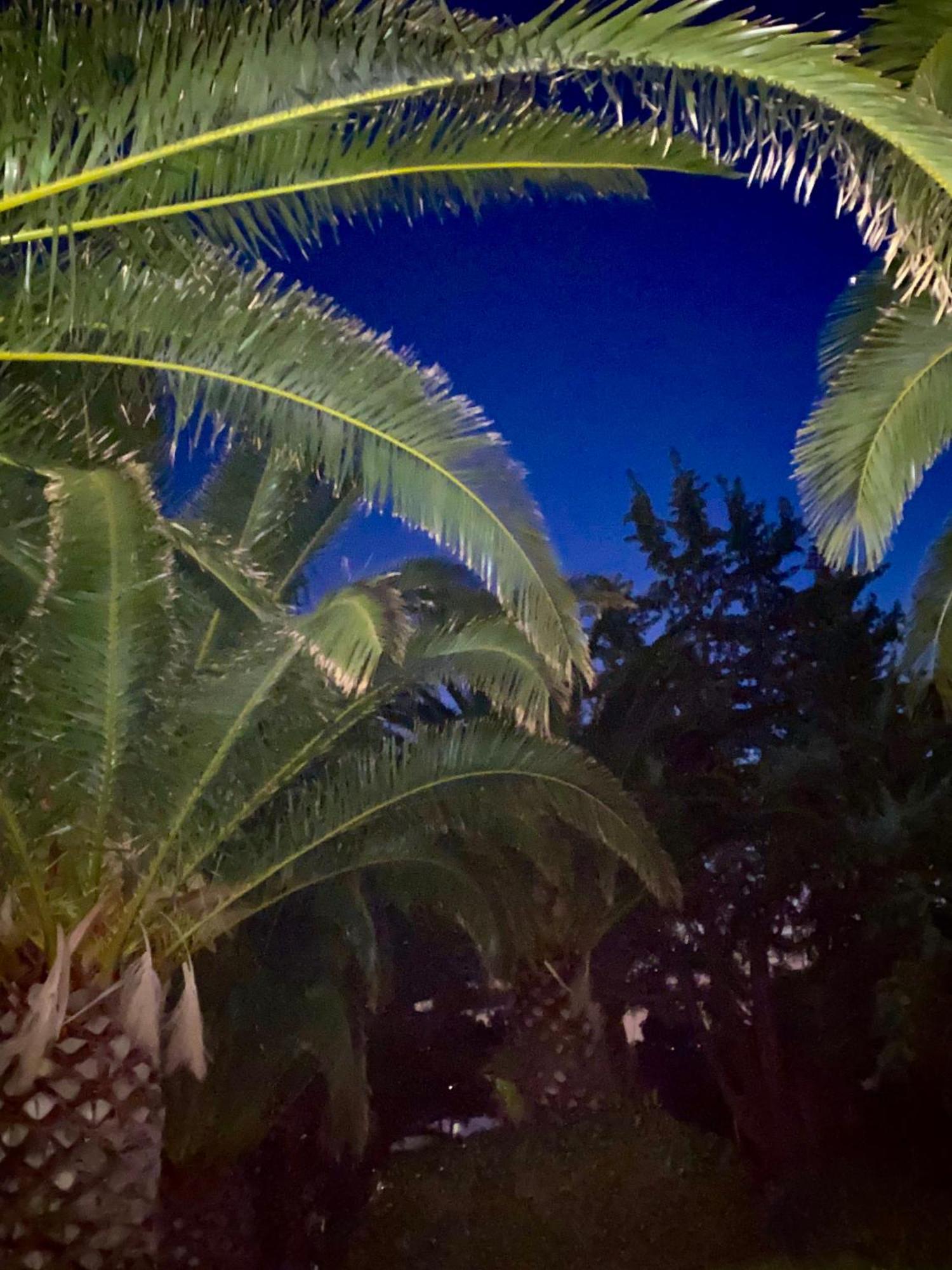 קוורטוצ'ו Hotel I Ginepri מראה חיצוני תמונה